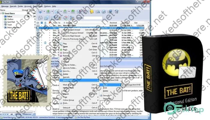 The Bat Professional Activation key 11.0.3 With Serial [Latest]